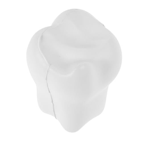 FIXOSHEE Zahnförmiger Stressball aus Schaumstoff Weiches Squeeze Lustiges Beißspielzeug für Praxis Büro und Zuhause Stressabbauendes Tragbares Greifspielzeug für Patienten FIXOSHEE Zahnförmiger Stressball aus Schaumstoff Weiches Squeeze Lustiges Beißspielzeug für Praxis Büro und Zuhause Stressabbauendes Tragbares Greifspielzeug für Patienten von FIXOSHEE