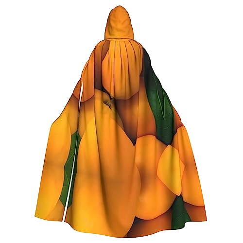 FInpan Frischer Mango-Poncho, Halloween-Kapuzenumhang, für Damen und Herren, Halloween, Party, Cosplay-Kostüme von FInpan