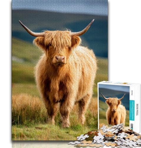 1000-teiliges Puzzle mit Highland-Kuh-Motiv für Erwachsene und Jugendliche, Lernspiele, Wanddekoration, einzigartige Geburtstags, 38x26cm 1000-teiliges Puzzle mit Highland-Kuh-Motiv für Erwachsene und Jugendliche, Lernspiele, Wanddekoration, einzigartige Geburtstags, 38x26cm von FLKFDOZ