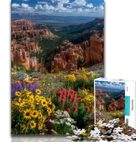 Puzzle für Teenager, 2000 Teile, schöner Bergfluss, Spielzeug, Lernspiele, Stressabbau, tolle Geschenke und Spielzeuge, 70x100cm von FLKFDOZ