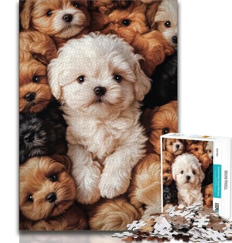 Shih Tzu Hunde-Collage, 1000-teiliges Puzzle für Erwachsene und Jugendliche, Quizspiel, Wanddekoration, einzigartige Geburtstags, 38x52cm Shih Tzu Hunde-Collage, 1000-teiliges Puzzle für Erwachsene und Jugendliche, Quizspiel, Wanddekoration, einzigartige Geburtstags, 38x52cm von FLKFDOZ
