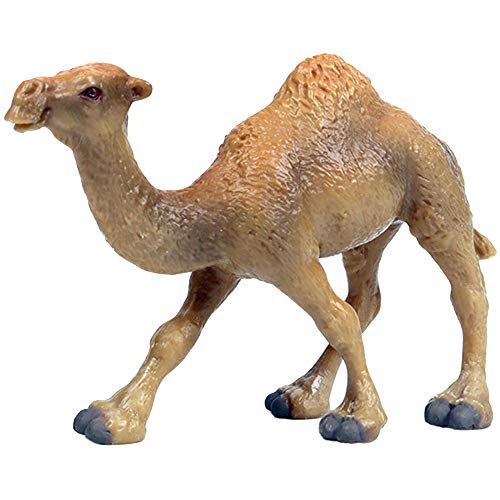 FLORMOON Tierfiguren - Realistisch Kamel Figurines - Frües Lernspielzeug Wissenschaftsprojekt Weihnachten Geburtstag Kinder 3 Jahre von JOKFEICE