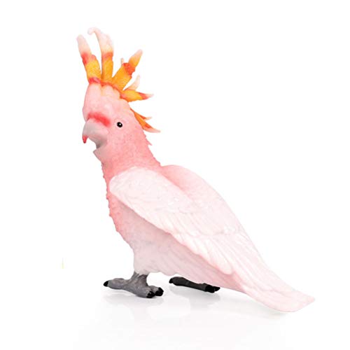 FLORMOON Vögel-Figuren Realistisch Kakadu Tiere Spielzeug Set Simuliert Kunststoff Tiermodelle Spielzeug Lernspielzeug für Mädchen Kinder Kleinkinder von FLORMOON
