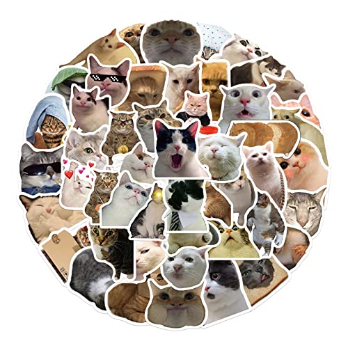 FOLODA 50 Stück Süße Katzen Tieraufkleber wasserdichte PVC Aufkleber Für Laptop Skateboard Wasserflaschen Telefon Geschenk Für Kinder FOLODA 50 Stück Süße Katzen Tieraufkleber wasserdichte PVC Aufkleber Für Laptop Skateboard Wasserflaschen Telefon Geschenk Für Kinder von FOLODA