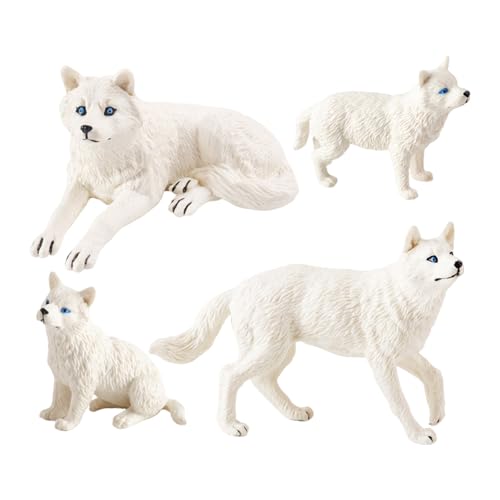 FOLODA Realistisches Wolftiermodell Für Wissenschaftsausstellungen Und Klassenzimmer Wildlife Tiermodell Für Display Und Sammlungsfiguren Kleinkinder von FOLODA