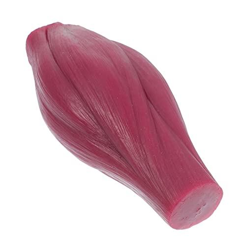 FONDOTIN Lb Muskelmodell Menschlicher Körper Lehrmodell Realistische Details Pädagogisch Anschaulich Robust ohne Sockel FONDOTIN Lb Muskelmodell Menschlicher Körper Lehrmodell Realistische Details Pädagogisch Anschaulich Robust ohne Sockel von FONDOTIN