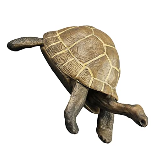 FONDOTIN Realistisches Desktop Schildkrötenmodell Hochwertigem Dekorative Kleine Schildkröte Glatte Oberfläche Farbenfroh Lernspielzeug und Deko für Kinderzimmer und Büro FONDOTIN Realistisches Desktop Schildkrötenmodell Hochwertigem Dekorative Kleine Schildkröte Glatte Oberfläche Farbenfroh Lernspielzeug und Deko für Kinderzimmer und Büro von FONDOTIN