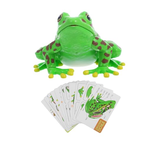 FONDOTIN Realistisches Froschmodell mit Abnehmbaren Teilen Pädagogisches Biologie Lernspielzeug für Fördert Wissenschaftliches Wissen und Praktische Anatomiekenntnisse FONDOTIN Realistisches Froschmodell mit Abnehmbaren Teilen Pädagogisches Biologie Lernspielzeug für Fördert Wissenschaftliches Wissen und Praktische Anatomiekenntnisse von FONDOTIN