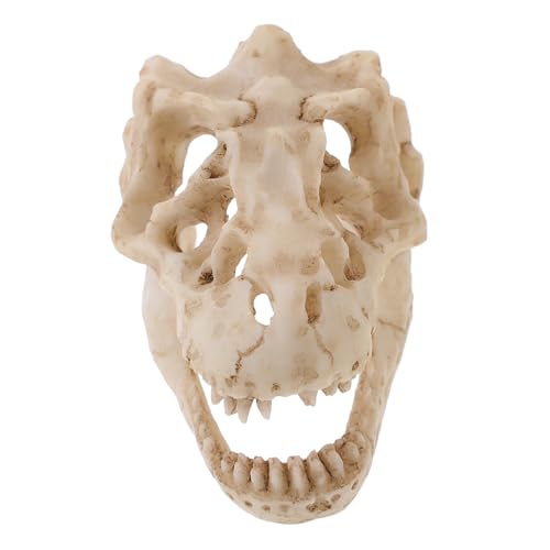 FONDOTIN Resin Dinosaurier Schädel Modell Detailgetreues Terrarium Zubehör aus Robustem Dekoratives Sammlerstück und für Dino Fans für Büro und Wohnraumgestaltung von FONDOTIN