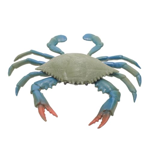 FONDOTIN Pädagogisches Krabben-lernspielzeug Realistisches Krabbenspielzeug Für Jungen Und Mädchen Detailliertes Krabbenmodell Für Die Aquariumdekoration von FONDOTIN