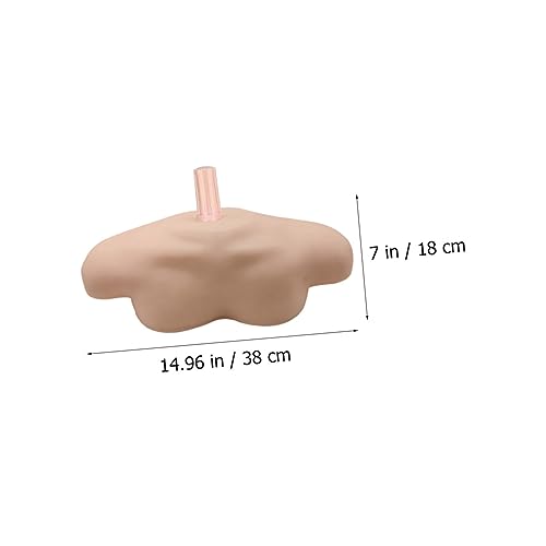 FONDOTIN Simuliertes Schultermodell mit Stabilem Stand für Übungszwecke Umweltfreundliches Material Langlebig und Handlich für Professionelle und Private Anwendungen von FONDOTIN