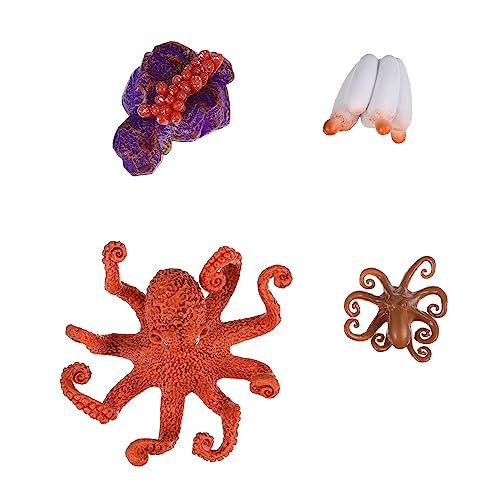 FOYTOKI 1set Kids Science Education Cognition Toy Emulation Tiermodell Für Die Schule von FOYTOKI