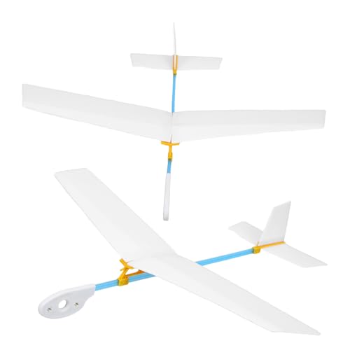 FOYTOKI 2 Stück DIY Holzflugzeug Modellbausatz zum Bemalen Handgeworfener Segler Stem Kreativität Räumlichem und Feinmotorik bei Kindern von FOYTOKI