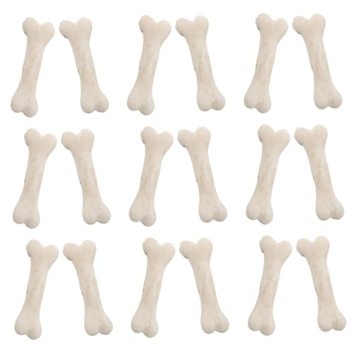 FOYTOKI Winzige Skelett-miniaturfiguren 20 Stück Kunstharz Miniatur-menschenknochen Zum Basteln Dekorieren Lernspielzeug FOYTOKI Winzige Skelett-miniaturfiguren 20 Stück Kunstharz Miniatur-menschenknochen Zum Basteln Dekorieren Lernspielzeug von FOYTOKI