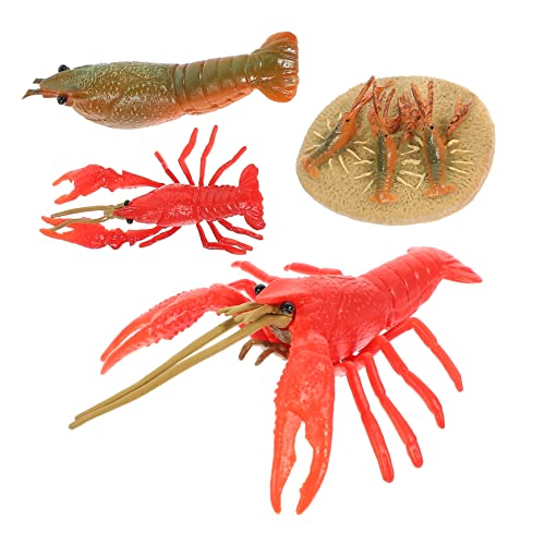 FOYTOKI 4 Teiliges Tiermodell Set Tierfiguren Tierspielzeug Lebenszyklus Figuren Lernspielzeug Für Spielzeugtiere Sensorisches Für Tierfiguren Modelle Der Tierozean von FOYTOKI