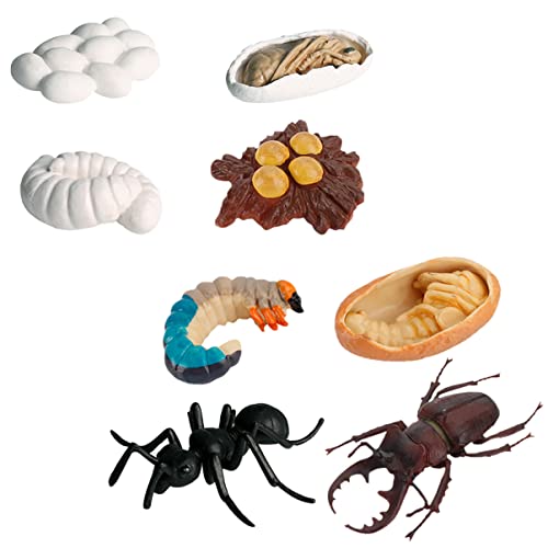 FOYTOKI 8Stücke Teiliges Realistischer Insektenmodelle Lernspielzeug für Simulation des Lebenszyklus von Arbeiterameisen Kognitives für Naturentdeckungen und Bildungszwecke FOYTOKI 8Stücke Teiliges Realistischer Insektenmodelle Lernspielzeug für Simulation des Lebenszyklus von Arbeiterameisen Kognitives für Naturentdeckungen und Bildungszwecke von FOYTOKI