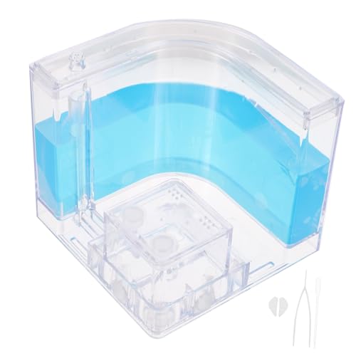 FOYTOKI Ameisenzuchtbox aus Kunststoff Stabiles und Langlebiges Nest Wissenschaftliches Beobachtungs für Jugendliche Ameisenfarm zum Erlernen Biologischen Wissens FOYTOKI Ameisenzuchtbox aus Kunststoff Stabiles und Langlebiges Nest Wissenschaftliches Beobachtungs für Jugendliche Ameisenfarm zum Erlernen Biologischen Wissens von FOYTOKI