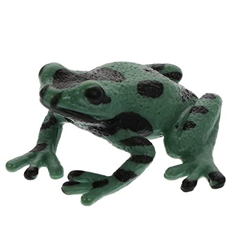 FOYTOKI Frosch-Modell Miniatur Ornament Krötenfigur Amphibie Terrariumverzierung Puppenhaus-tierstatue Tierskulptur Im Freien Kleinkinder Deko Bildungsbedarf Green Plastik von FOYTOKI