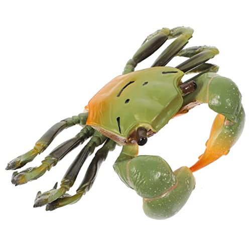 FOYTOKI Kreatives Simulationskrabben Modell aus Realistisches für Fördert Lernfähigkeiten und Hand Augen Koordination für Meeres Themen und Pädagogisches FOYTOKI Kreatives Simulationskrabben Modell aus Realistisches für Fördert Lernfähigkeiten und Hand Augen Koordination für Meeres Themen und Pädagogisches von FOYTOKI
