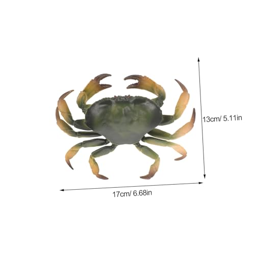 FOYTOKI Realistisches Krabbenmodell aus Pädagogisches Lernspielzeug und Meerestiere Figur Detailgetreue Simulation als Tischdeko und Aquarium Dekoration Kompakt und Leicht für Zuhause und von FOYTOKI