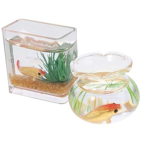 FOYTOKI Miniatur-Szene-Requisite Aquarium-Modell Mini-fischschalen Für Puppenhaus-Schreibtisch- Miniatur- -Dekorationen Für Mini-landschaftsbau Zufällige Farbe von FOYTOKI