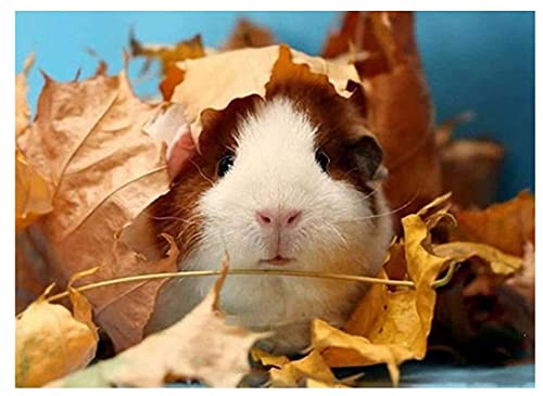 1000 Stück Puzzle Nette Meerschweinchen Und Herbstlaub Poster Erwachsene Kinder Holzspielzeug Lernspiel Fx27Nj 38x52CM 1000 Stück Puzzle Nette Meerschweinchen Und Herbstlaub Poster Erwachsene Kinder Holzspielzeug Lernspiel Fx27Nj 38x52CM von FPTZL