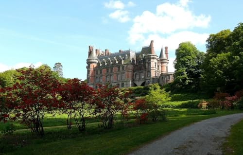 1000-Teile-Puzzle für Erwachsene | Puzzle | 1000-teiliges Puzzle für Erwachsene, Park, Schloss, 52 x 38 cm 1000-Teile-Puzzle für Erwachsene | Puzzle | 1000-teiliges Puzzle für Erwachsene, Park, Schloss, 52 x 38 cm von FPTZL