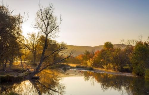 1000-teiliges Landschaftspuzzle für Erwachsene, 1000 Teile, Natur, Landschaft, 70 x 50 cm 1000-teiliges Landschaftspuzzle für Erwachsene, 1000 Teile, Natur, Landschaft, 70 x 50 cm von FPTZL