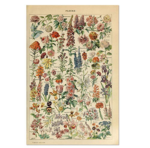 2000 Teile Puzzle Vintage Gemüse Obst Pilz Antikes Poster für Erwachsene Kinder Lernspiele Spielzeug Kp21Cy 100x70CM 2000 Teile Puzzle Vintage Gemüse Obst Pilz Antikes Poster für Erwachsene Kinder Lernspiele Spielzeug Kp21Cy 100x70CM von FPTZL