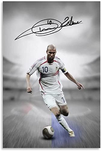 2000-teiliges Puzzle Zinedine Zidane.webp Poster Kinder Erwachsene Lernspielzeug Spiel Puzzles 2000 Teile 100x70CM von FPTZL