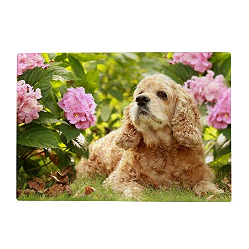 2000-teiliges Puzzle für Erwachsene – Englischer Cocker Spaniel, 100 x 70 cm 2000-teiliges Puzzle für Erwachsene – Englischer Cocker Spaniel, 100 x 70 cm von FPTZL