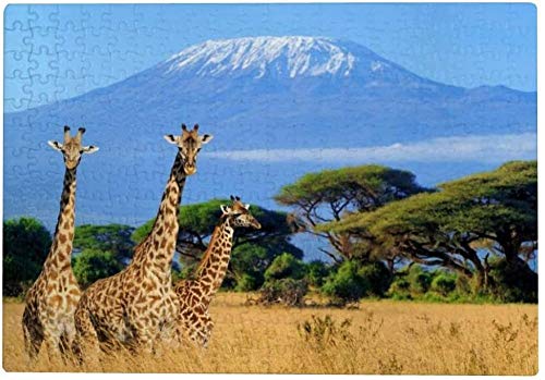 2000-teiliges Puzzle für Erwachsene – Giraffe, Kilimandscharo, Berg Afrika, Puzzlespiel für Kinder 70x100CM von FPTZL
