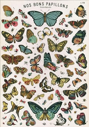 Puzzle 1000 Teile Vintage Schmetterlinge Kunstplakate Für Erwachsene Familiendekompressionsspielzeug Qz572Yk 70x50CM von FPTZL