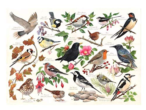 Puzzle 1000 Teile Vögel in Meinem Garten Lernspielzeug für Erwachsene und Kinder Kd9Hz 38x52CM von FPTZL