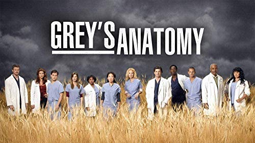 Puzzle 1000 Teile für Erwachsene, Grey Anatomy, pädagogisches intellektuelles Dekompressionsspielzeug, lustiges Familienspiel für Kinder und Erwachsene, 38x52CM von FPTZL