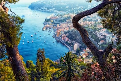 Puzzle 2000 Teile Französische Landschaften Poster Puzzles Lernspielzeug für Erwachsene Gt42Zw 100x70CM Puzzle 2000 Teile Französische Landschaften Poster Puzzles Lernspielzeug für Erwachsene Gt42Zw 100x70CM von FPTZL