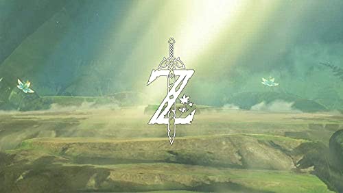 Puzzle für Erwachsene, 1000 Teile, Legend of Zelda-Puzzles für Kinder, Lernspielzeug, Denkspiel, Geschenk, Teenager, DIY-Heimunterhaltungsspielzeug, 70 x 50 cm Puzzle für Erwachsene, 1000 Teile, Legend of Zelda-Puzzles für Kinder, Lernspielzeug, Denkspiel, Geschenk, Teenager, DIY-Heimunterhaltungsspielzeug, 70 x 50 cm von FPTZL