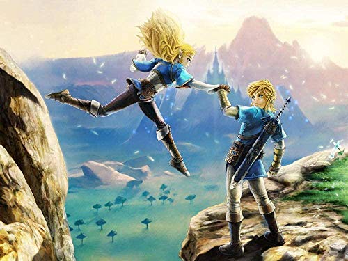Puzzle für Erwachsene, 1000 Teile, Legend of Zelda-Puzzles für Kinder, Lernspielzeug, Denkspiel, Geschenk, Teenager, DIY-Heimunterhaltungsspielzeug, 70 x 50 cm Puzzle für Erwachsene, 1000 Teile, Legend of Zelda-Puzzles für Kinder, Lernspielzeug, Denkspiel, Geschenk, Teenager, DIY-Heimunterhaltungsspielzeug, 70 x 50 cm von FPTZL