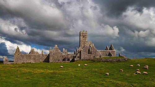 Puzzle für Erwachsene, 1000 Teile, Ross Errilly Friary, County Galway, Irland, 70 x 50 cm Puzzle für Erwachsene, 1000 Teile, Ross Errilly Friary, County Galway, Irland, 70 x 50 cm von FPTZL