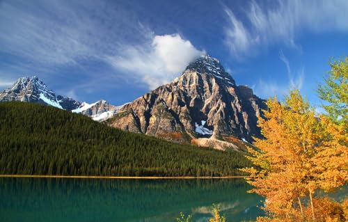 Puzzles für Erwachsene 2000 | Puzzle | Puzzle für Erwachsene, 2000 Teile, Bäume, Berge, Kanada, Alberta, Lower Waterfowl Lake, 100 x 70 cm Puzzles für Erwachsene 2000 | Puzzle | Puzzle für Erwachsene, 2000 Teile, Bäume, Berge, Kanada, Alberta, Lower Waterfowl Lake, 100 x 70 cm von FPTZL