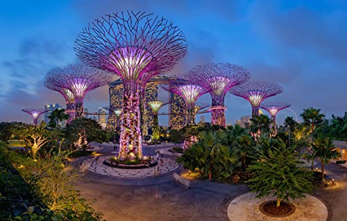 SP Puzzle 1000 Teile Junge Stadt Nachtlichter Park Singapur Bucht 26x38CM von FPTZL