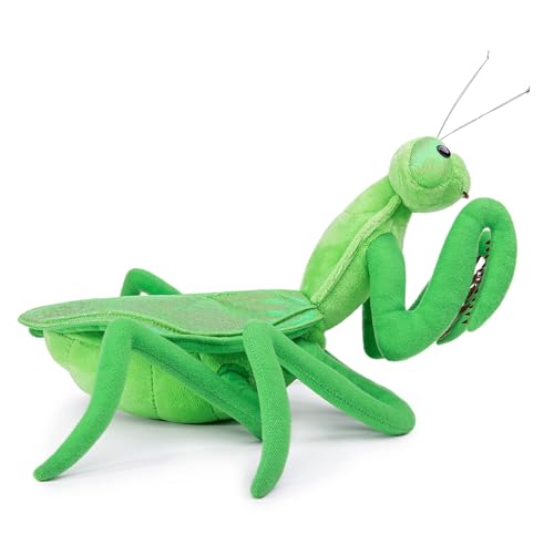 FRANKIEZHOU Betende Mantis Plüschtier, lebensechte grüne chinesische Mantis, weiches Mantis-Plüschtier, Stofftier, Insektenspielzeug, Geschenke für Kinder, Heimdekoration, 38,1 cm, Grün FRANKIEZHOU Betende Mantis Plüschtier, lebensechte grüne chinesische Mantis, weiches Mantis-Plüschtier, Stofftier, Insektenspielzeug, Geschenke für Kinder, Heimdekoration, 38,1 cm, Grün von FRANKIEZHOU