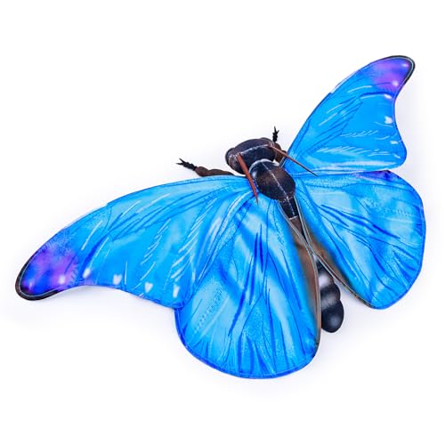 FRANKIEZHOU Realistisches blaues Morpho-Schmetterling-Plüschtier, blau, 25,4 cm, Schmetterlings-Plüschtier, schönes Stofftier, Mädchenspielzeug, Mottenspielzeug für Kinder, Heimdekoration, FRANKIEZHOU Realistisches blaues Morpho-Schmetterling-Plüschtier, blau, 25,4 cm, Schmetterlings-Plüschtier, schönes Stofftier, Mädchenspielzeug, Mottenspielzeug für Kinder, Heimdekoration, von FRANKIEZHOU