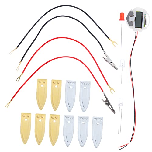 FRCOLOR 1 Satz DIY Obstbatterie Experiment für Wissenschaftliches für Junge Mädchen Lehrreiche Experimente mit Früchten und Kartoffeln Sicher und Wiederverwendbar Fördert Kreativität und von FRCOLOR