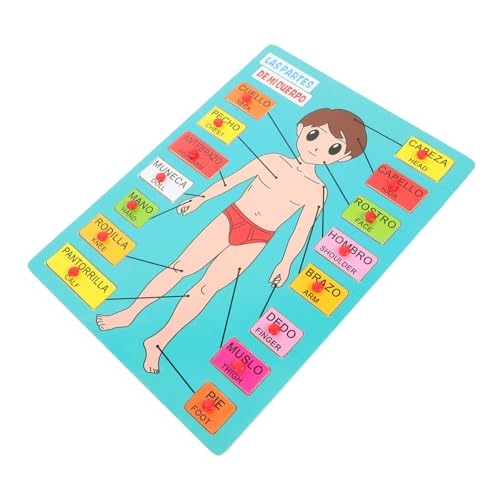 FRCOLOR 1 Satz Holzpuzzle für Kleinkinder Spanisches Lernspielzeug zur Körpererkennung mit Bunten Holzsteckteilen für Vorschulkinder und Frühkindliche Bildung FRCOLOR 1 Satz Holzpuzzle für Kleinkinder Spanisches Lernspielzeug zur Körpererkennung mit Bunten Holzsteckteilen für Vorschulkinder und Frühkindliche Bildung von FRCOLOR