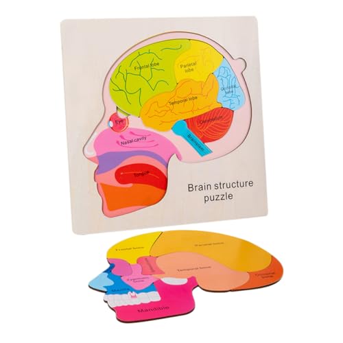 FRCOLOR 1 Satz Kreatives Lernspielzeug für Holzpuzzle zur Gehirnstruktur Interaktives Kognitives für Frühe Bildung Fördert Kreative Fähigkeiten und Motorische Fähigkeiten FRCOLOR 1 Satz Kreatives Lernspielzeug für Holzpuzzle zur Gehirnstruktur Interaktives Kognitives für Frühe Bildung Fördert Kreative Fähigkeiten und Motorische Fähigkeiten von FRCOLOR