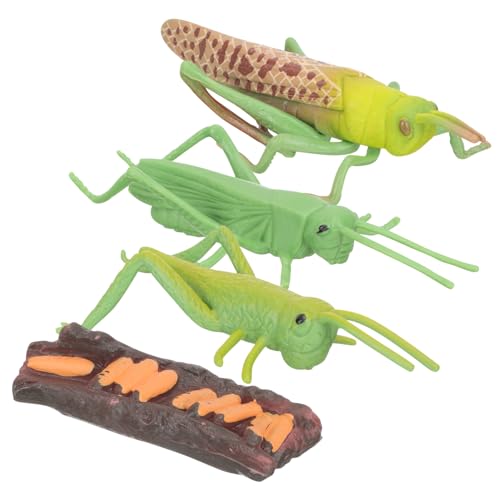 FRCOLOR 1 Satz Tiermodelle für Lernspielzeug Frühen Bildung als Dekoration für Partys Modell Sammlung Fördert Kreativität und Vorstellungskraft von FRCOLOR