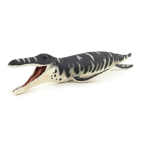 FRCOLOR 1 Stück Liopleurodon Modell Realistisches Dinosaurier aus PVC für oder Dekoration für Dinosaurier Fans und Geburtstagsfeiern FRCOLOR 1 Stück Liopleurodon Modell Realistisches Dinosaurier aus PVC für oder Dekoration für Dinosaurier Fans und Geburtstagsfeiern von FRCOLOR