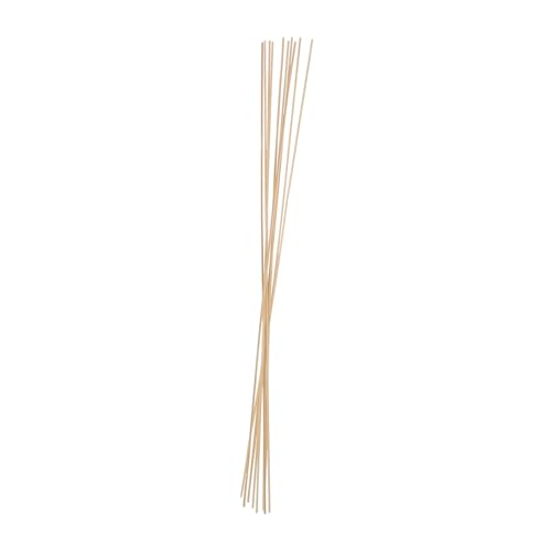 FRCOLOR 10 Stück Bambus Stäbe für DIY Kite Support Sticks für Kreative Bastelprojekte Kindgerecht und Sicher für Windspiel Herstellung und Handarbeiten FRCOLOR 10 Stück Bambus Stäbe für DIY Kite Support Sticks für Kreative Bastelprojekte Kindgerecht und Sicher für Windspiel Herstellung und Handarbeiten von FRCOLOR