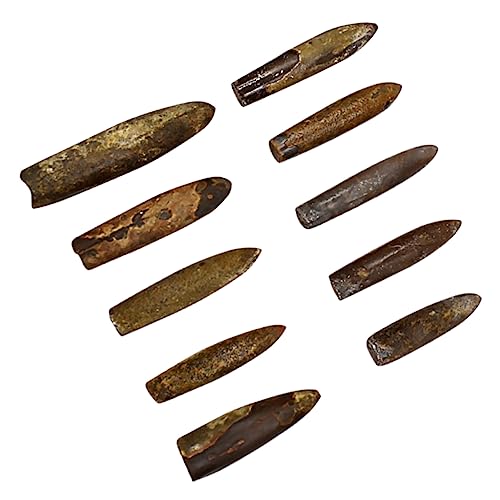 FRCOLOR 10 Stück Teiliges Fossilien Natürliche Paläontologie Sammlung Lehrmaterialien für Schulklassen und Dekorationen als für Wissenschaftsinteressierte FRCOLOR 10 Stück Teiliges Fossilien Natürliche Paläontologie Sammlung Lehrmaterialien für Schulklassen und Dekorationen als für Wissenschaftsinteressierte von FRCOLOR
